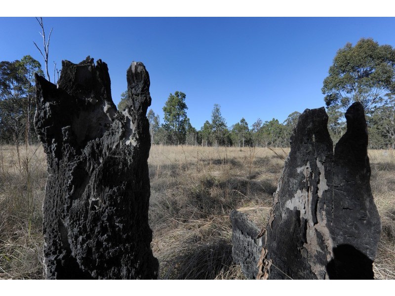 95 Old Six Mile Lane, Glenugie NSW 2460