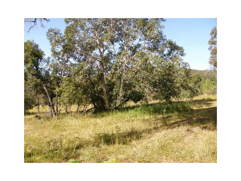 1578 Kangaroo Creek Road, Kangaroo Creek NSW 2460