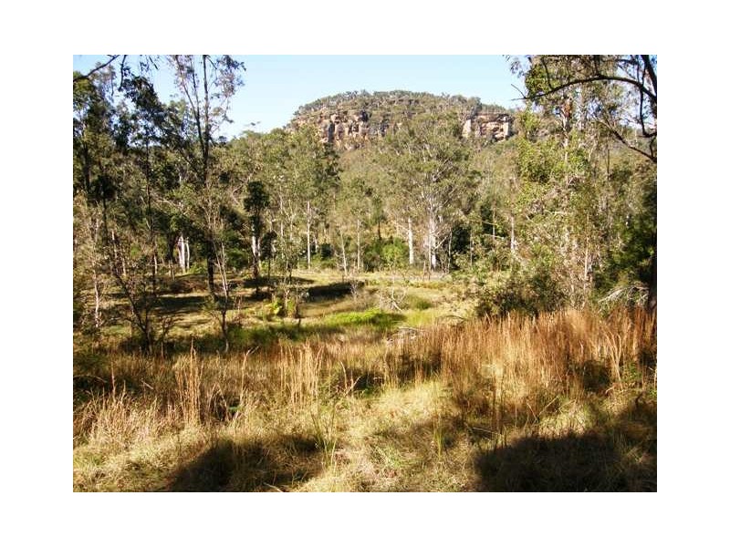 1578 Kangaroo Creek Road, Kangaroo Creek NSW 2460