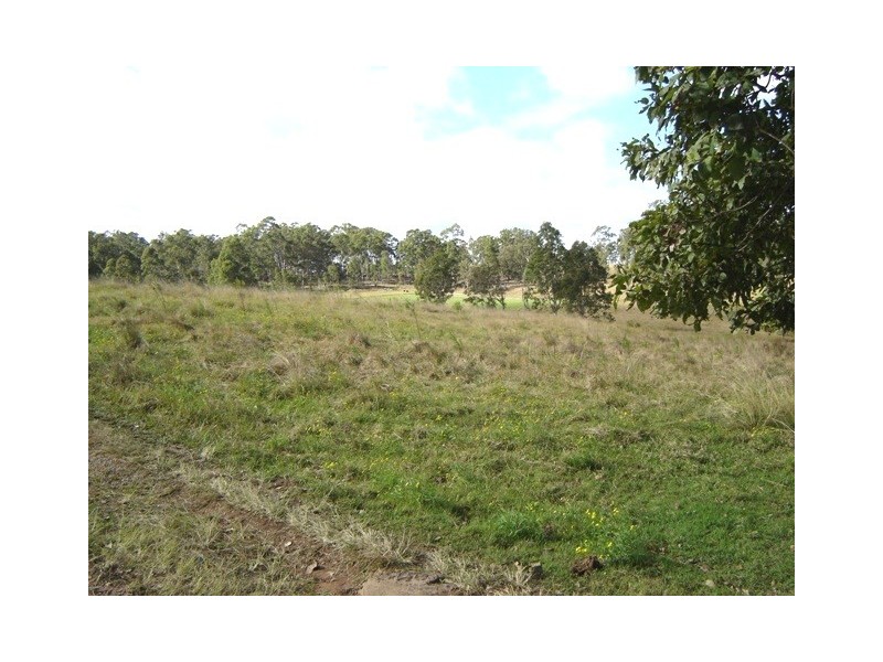 2513 Clarence Way, Upper Copmanhurst NSW 2460