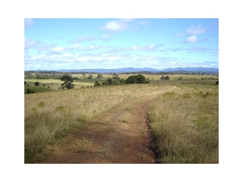 2513 Clarence Way, Upper Copmanhurst NSW 2460