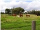 3 Vivian St, Lawrence NSW 2460
