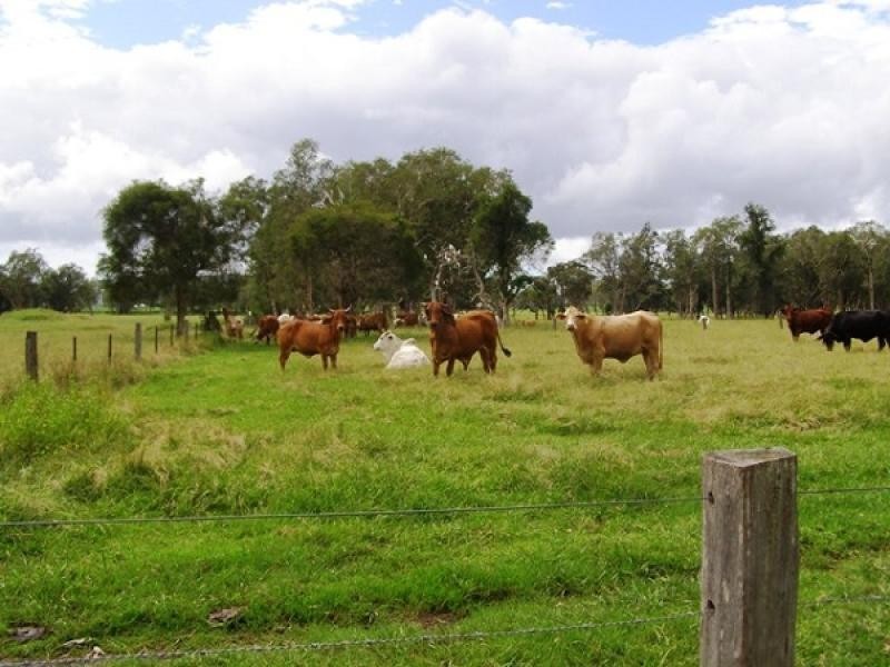 3 Vivian St, Lawrence NSW 2460