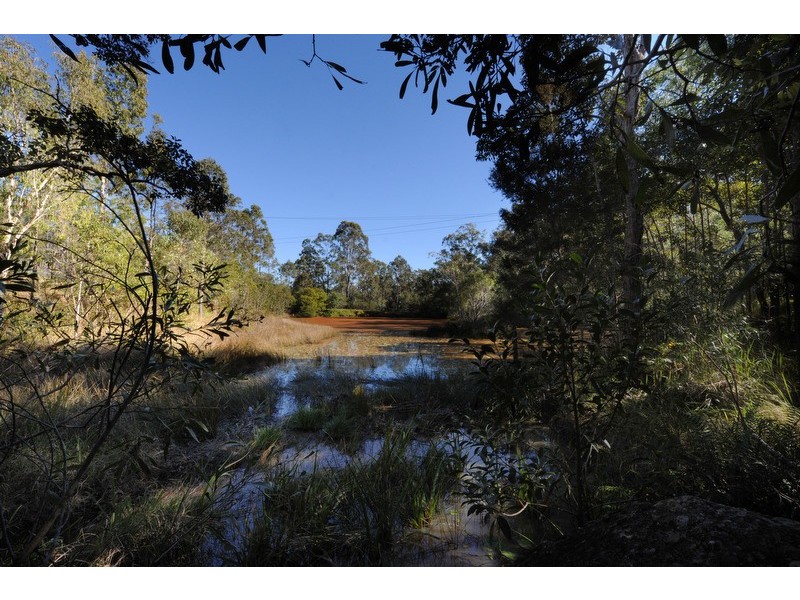 2952 Clarence Way, Copmanhurst NSW 2460