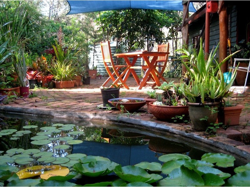 Nymboida NSW 2460
