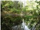 Nymboida NSW 2460
