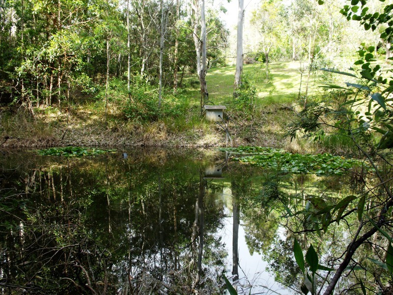 Nymboida NSW 2460