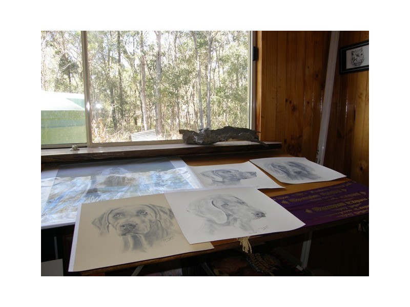 341 Kungala Road, Halfway Creek NSW 2460