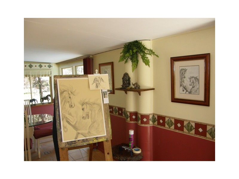 341 Kungala Road, Halfway Creek NSW 2460