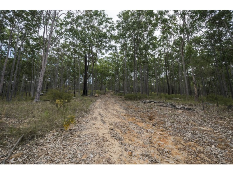 1698 Kangaroo Creek Road, Kangaroo Creek NSW 2460
