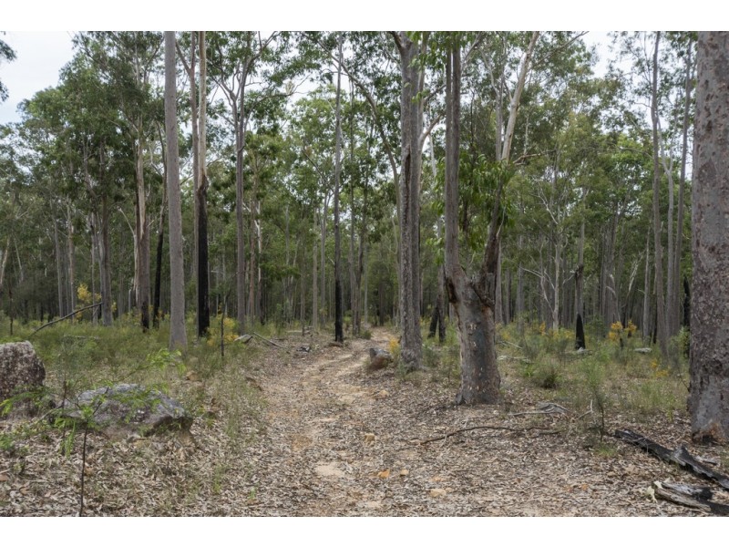 1698 Kangaroo Creek Road, Kangaroo Creek NSW 2460