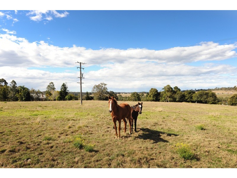 135 MASSEY ROAD, Mylneford NSW 2460