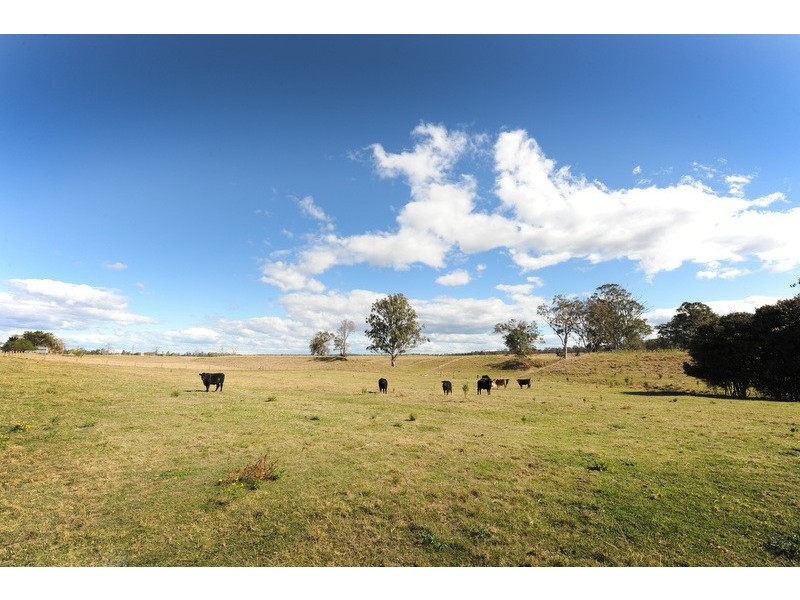 135 MASSEY ROAD, Mylneford NSW 2460