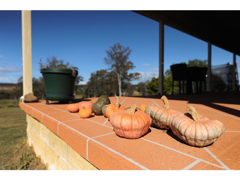 135 MASSEY ROAD, Mylneford NSW 2460