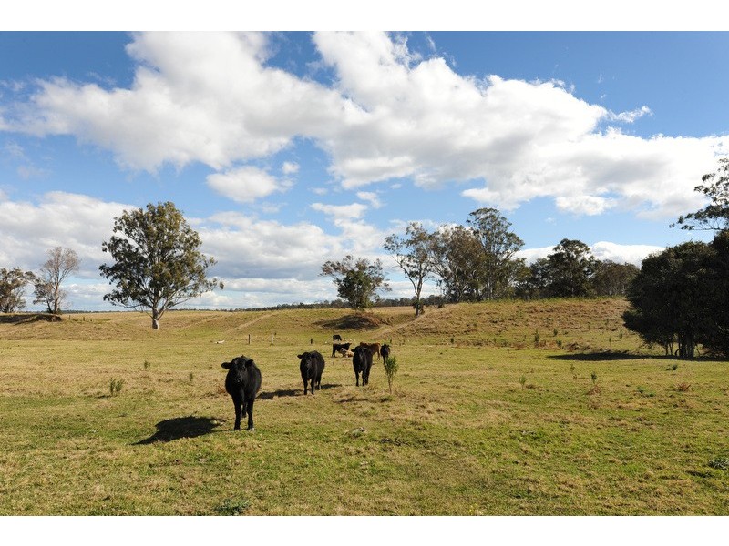 135 MASSEY ROAD, Mylneford NSW 2460