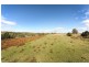 135 MASSEY ROAD, Mylneford NSW 2460