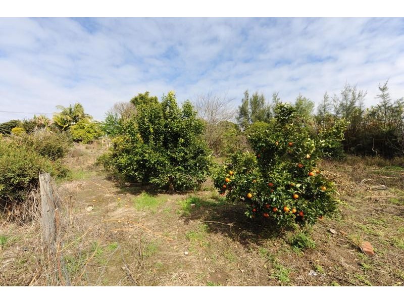 38 Abbott Street, South Grafton NSW 2460