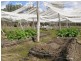 4801 Orara Way, Braunstone NSW 2460