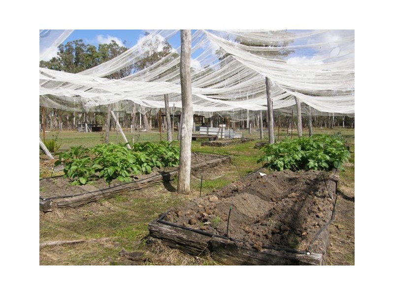 4801 Orara Way, Braunstone NSW 2460
