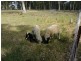4801 Orara Way, Braunstone NSW 2460