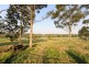 210 McGraths Lane, The Whiteman NSW 2460