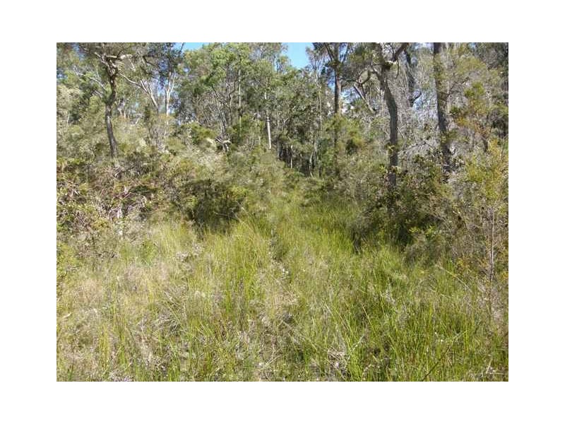 4925 Pacific Highway, Halfway Creek NSW 2460