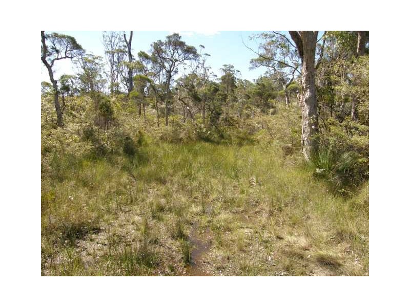 4925 Pacific Highway, Halfway Creek NSW 2460