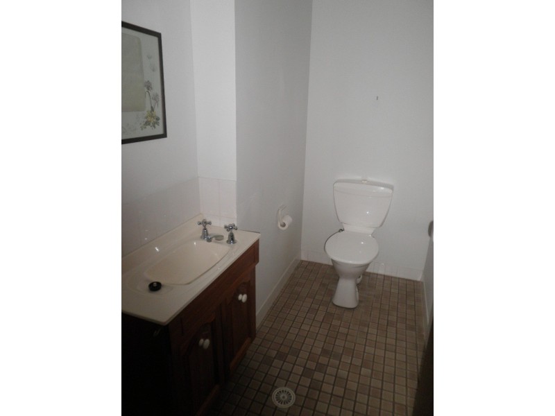 21 Cambridge Street, Copmanhurst NSW 2460