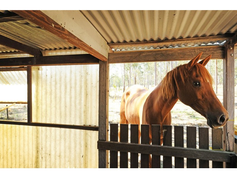 438 Old Glen Innes Road, Waterview Heights NSW 2460