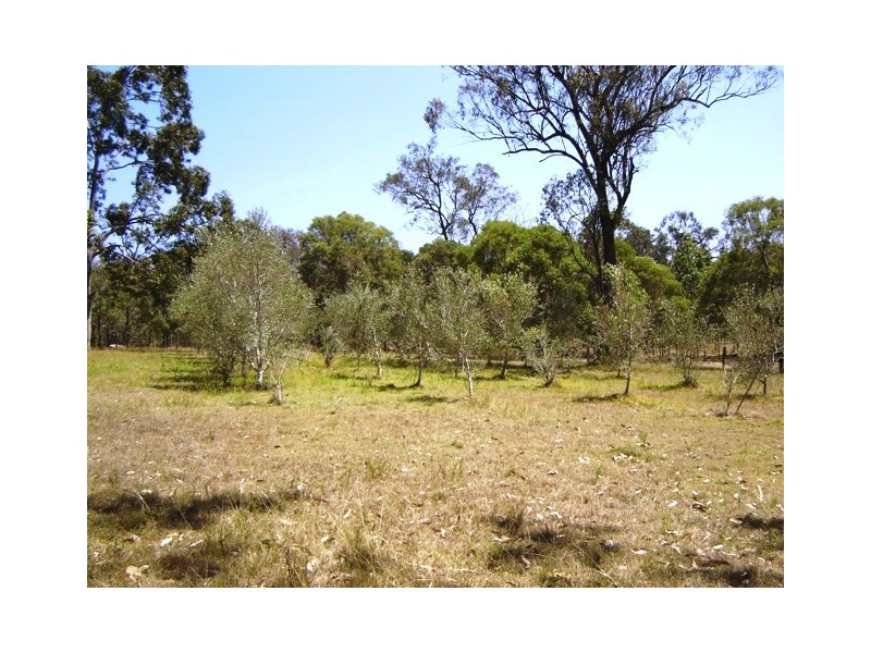 44 Mulligan Drive, Waterview Heights NSW 2460