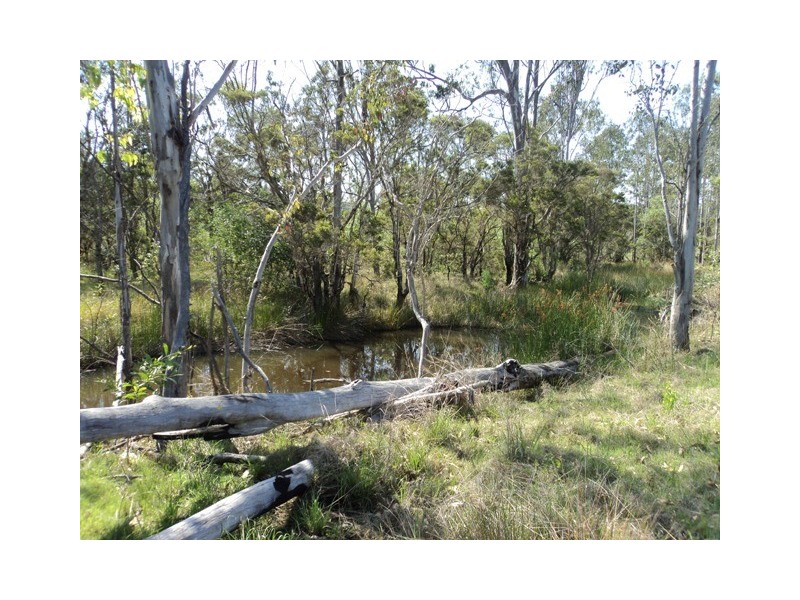 826  Old Tenterfield Road, Whiporie NSW 2469