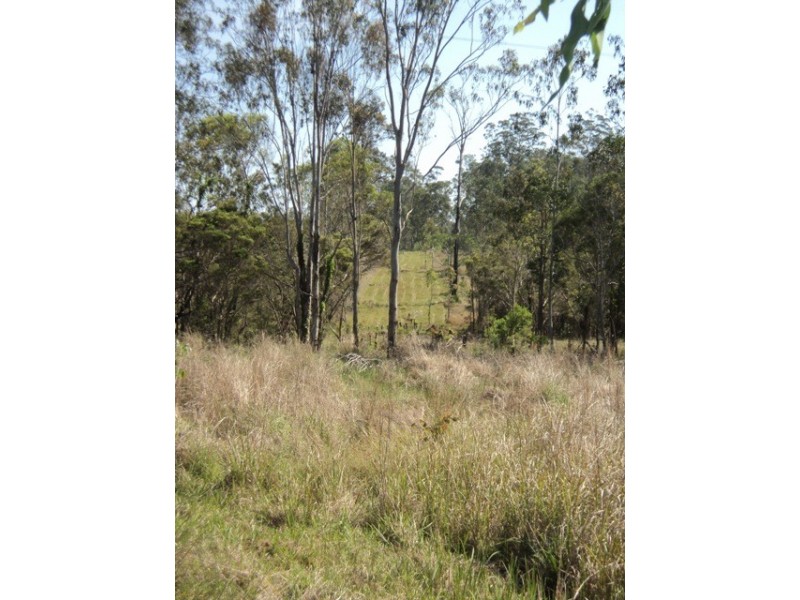 826  Old Tenterfield Road, Whiporie NSW 2469