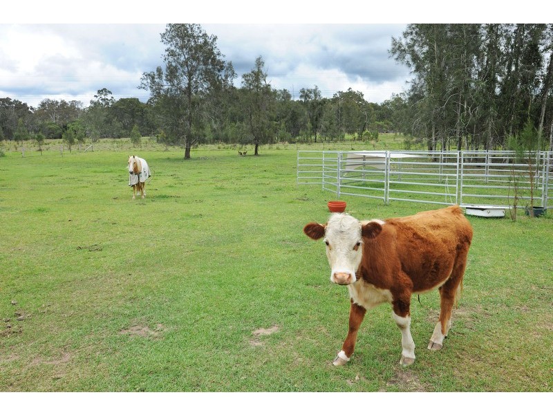 27 Grevillia Drive, Waterview Heights NSW 2460