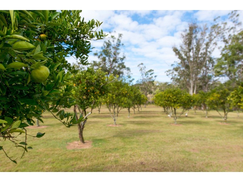 433 Wooli Road, Pillar Valley NSW 2462