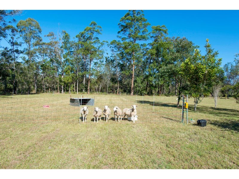 433 Wooli Road, Pillar Valley NSW 2462