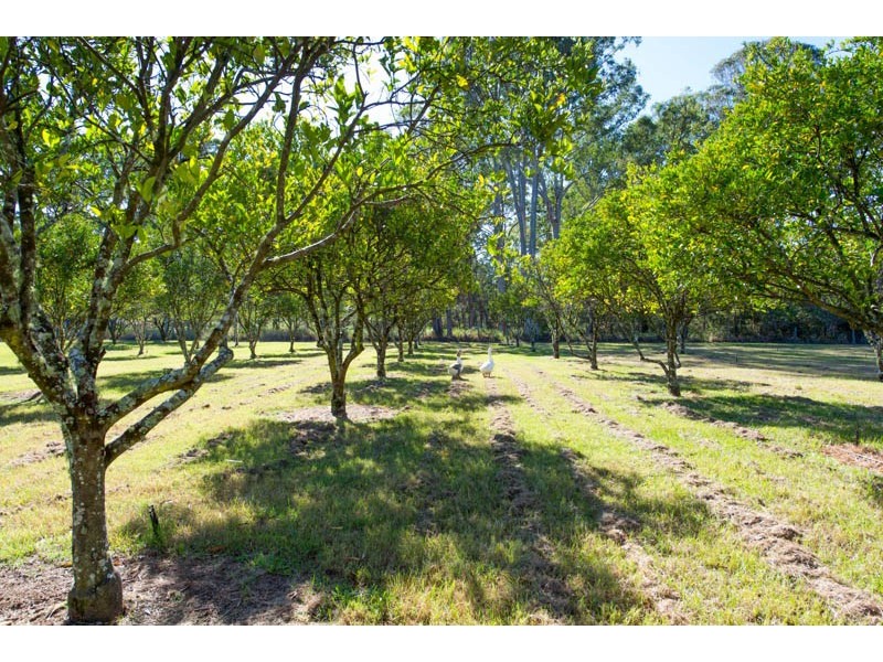 433 Wooli Road, Pillar Valley NSW 2462