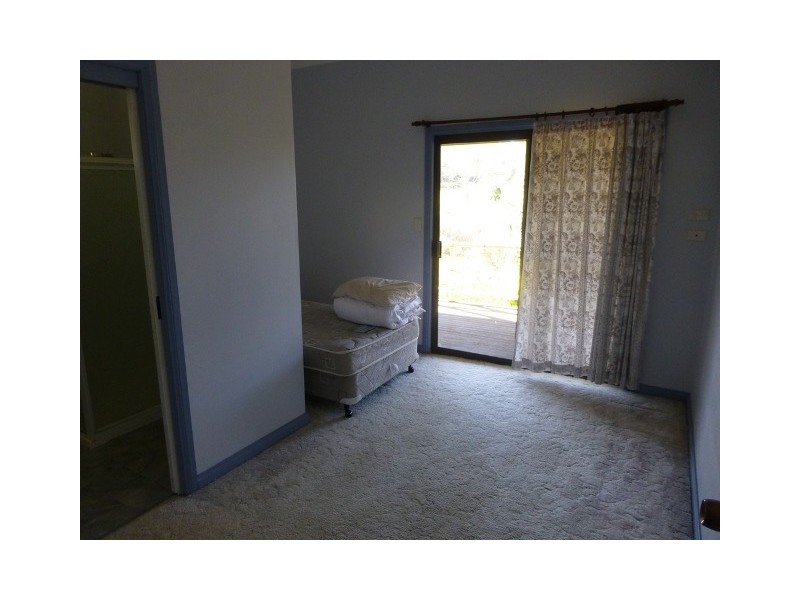 3966 Armidale Road, Nymboida NSW 2460