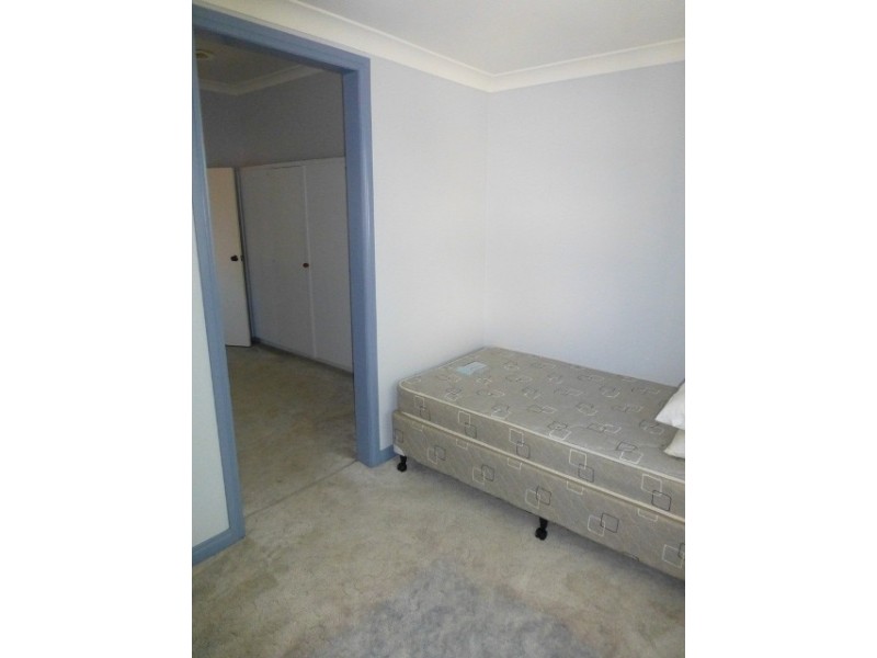 3966 Armidale Road, Nymboida NSW 2460