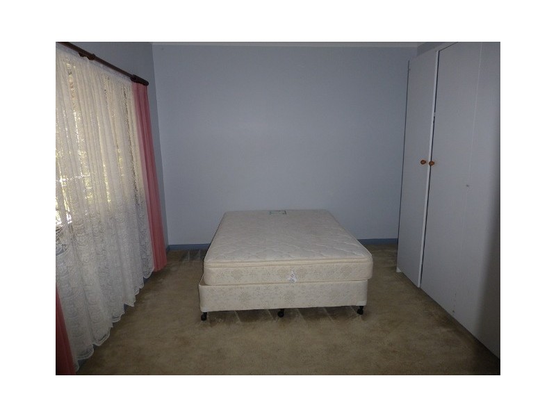 3966 Armidale Road, Nymboida NSW 2460