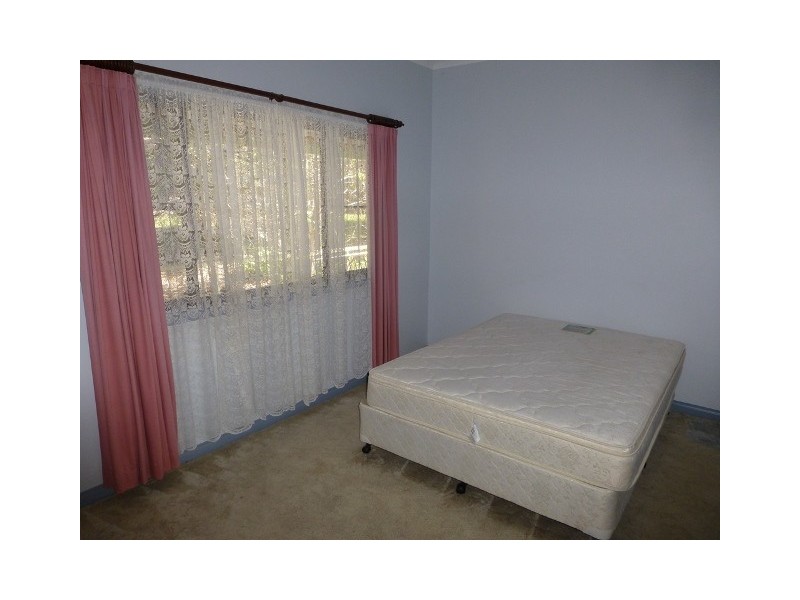 3966 Armidale Road, Nymboida NSW 2460