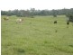 Lot 6 Orara Way, Braunstone NSW 2460