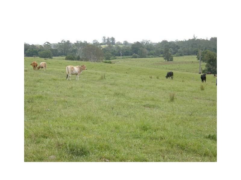 Lot 6 Orara Way, Braunstone NSW 2460