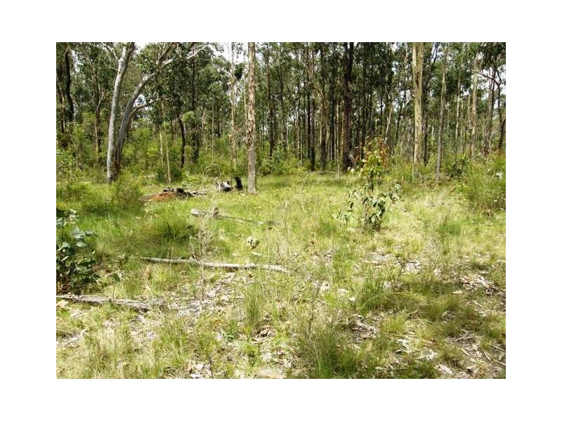 582  Dinjerra Road, Glenugie NSW 2460