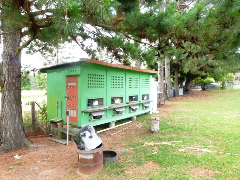 15 Rugby Street, Copmanhurst NSW 2460