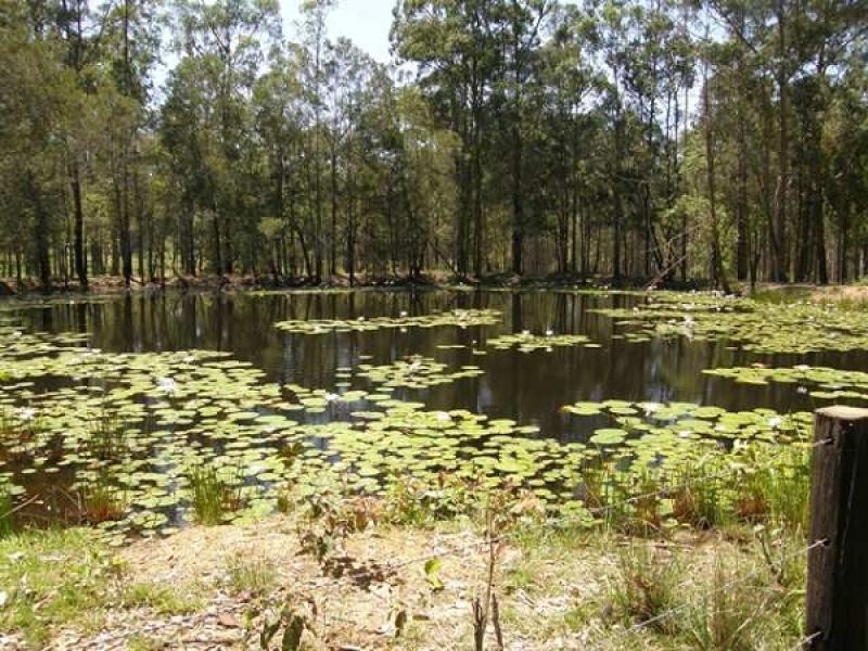 80 East Lanitza Road, Lanitza NSW 2460