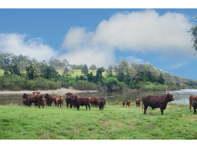 89 Appletree Flat road, Copmanhurst NSW 2460