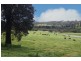 89 Appletree Flat road, Copmanhurst NSW 2460