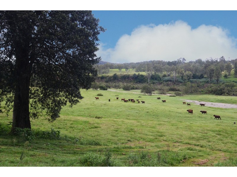 89 Appletree Flat road, Copmanhurst NSW 2460