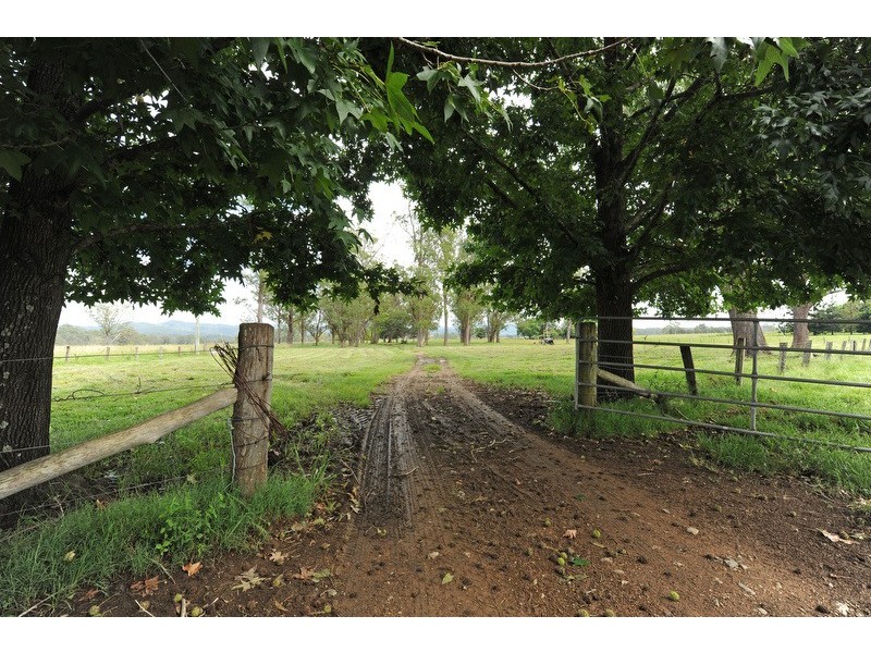 89 Appletree Flat road, Copmanhurst NSW 2460