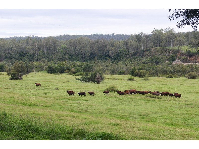 89 Appletree Flat road, Copmanhurst NSW 2460